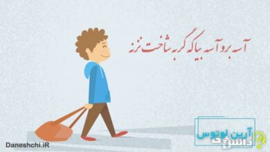 آسه بیا آسه برو که گربه شاخت نزنه