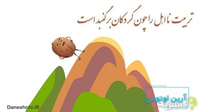 تربیت نا اهل را چون گردکان بر گنبد است