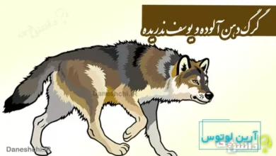 گرگ دهن آلوده و یوسف ندریده