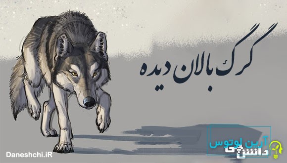 گرگ بالان دیده