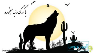 با گرگ دنبه ميخوره با چوپان گريه ميكنه