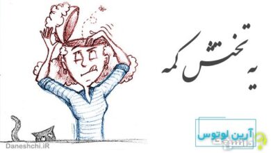 معنی ضرب المثل یه تختش کمه