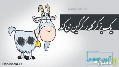 یک بز گر گله را گرگین می کند