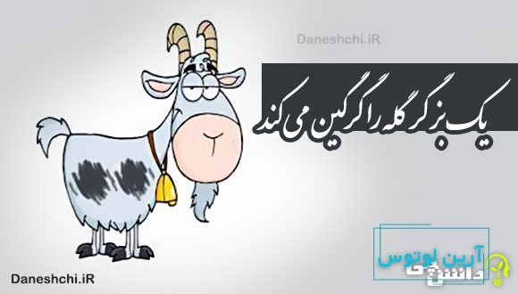 یک بز گر گله را گرگین می کند