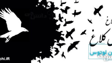 یک کلاغ چهل کلاغ