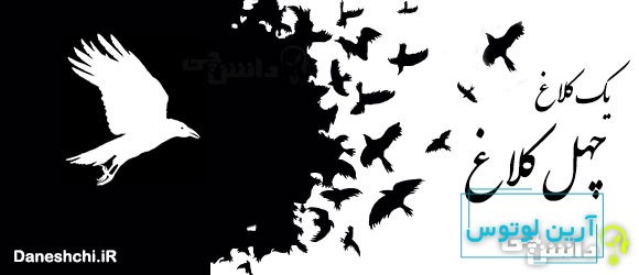 یک کلاغ چهل کلاغ 