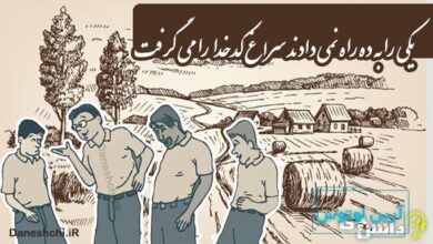 یکی را به ده راه نمی دادند سراغ کدخدا را می گرفت