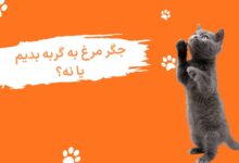 غذای گربه جوسرا