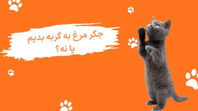 غذای گربه جوسرا