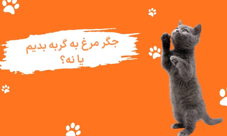 غذای گربه جوسرا