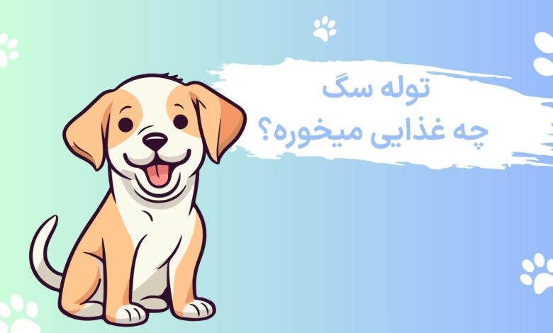 غذای توله سگ