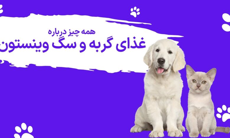 برند وینستون