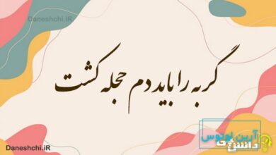 گربه را باید دم حجله کشت