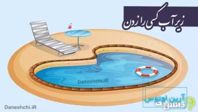 ضرب المثل زیر آب کسی را زدن