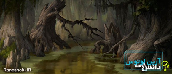 معنی ضرب المثل آب که یکجا ماند، می گندد