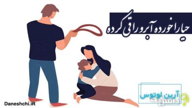 معنی حیا را خورده آبرو را قی کرده