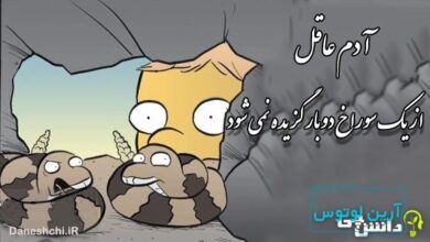 آدم عاقل از یک سوراخ دوبار گزیده نمی شود