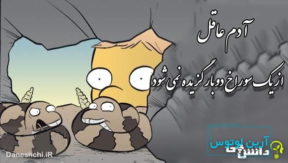 آدم عاقل از یک سوراخ دوبار گزیده نمی شود