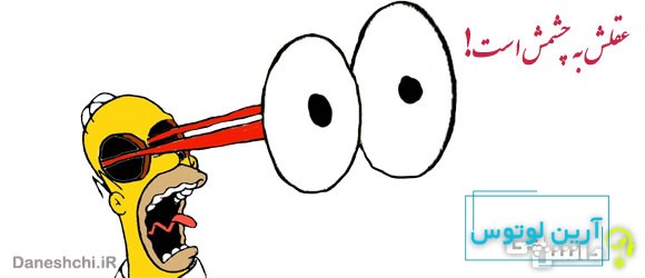 معنی ضرب المثل عقلش به چشمش است