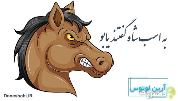 معنی به اسب شاه گفتند یابو