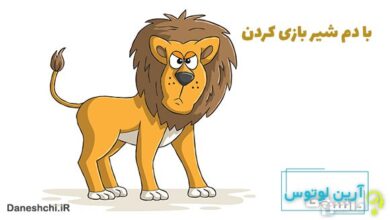 معنی با دم شیر بازی کردن