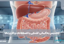 آپاندیس به آلمانی