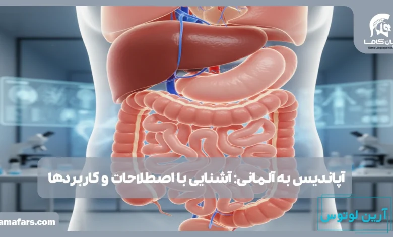 آپاندیس به آلمانی