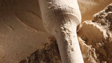 خواص آرد جو چیست؟