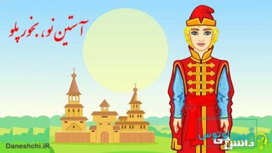 آستین نو بخور پلو