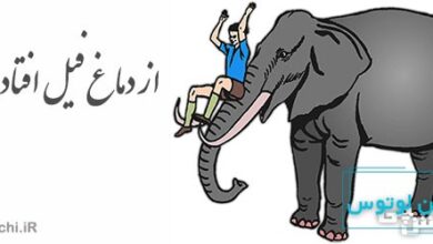ضرب المثل از دماغ فیل افتادن