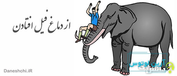 ضرب المثل از دماغ فیل افتادن