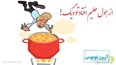 از هول حلیم افتاد تو دیگ