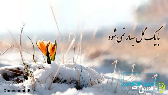 با یک گل بهار نمی شود