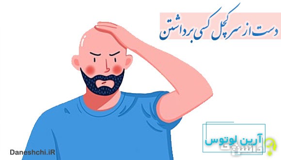 دست از سر کچل کسی برداشتن 