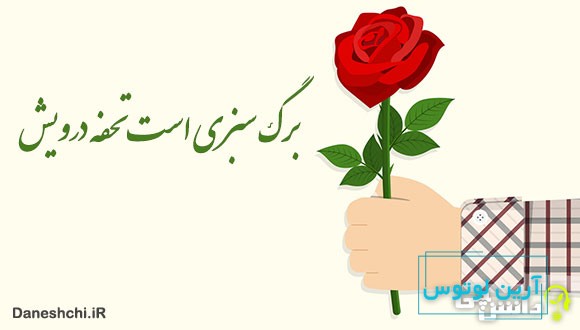 ضرب المثل برگ سبزی است تحفه درویش