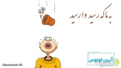 معنی به ما که رسید وا رسید