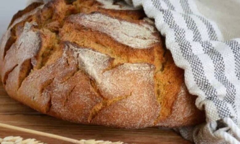 بهترین روش های نگهداری از نان