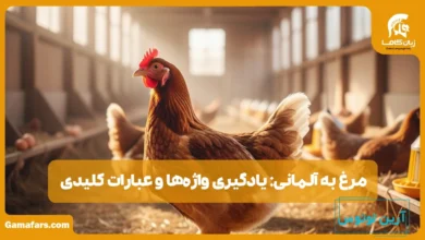 مرغ به آلمانی