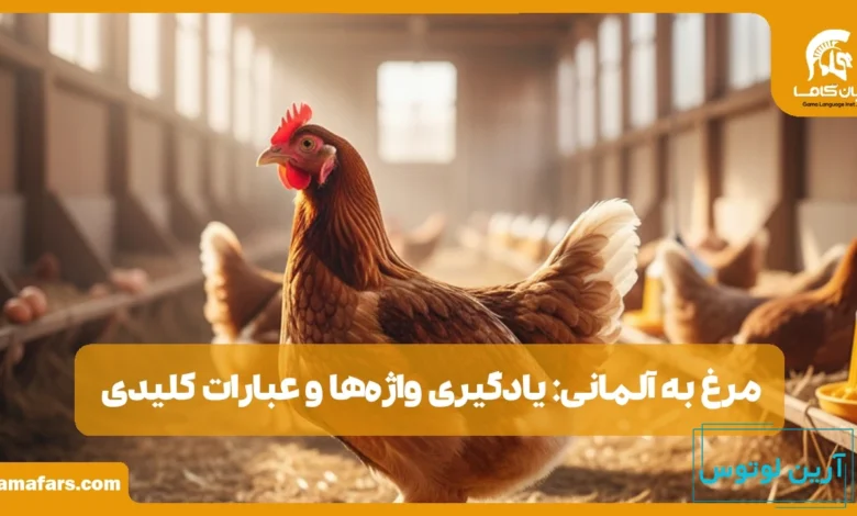 مرغ به آلمانی