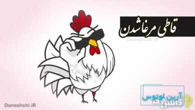 قاطی مرغا شدن