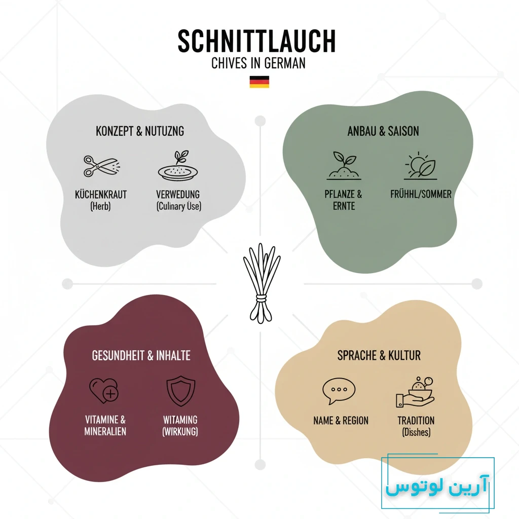 سبزی تره به آلمانی