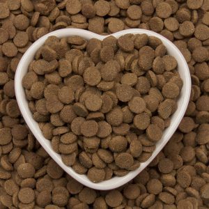 ویژگی های غذای خشک گربه