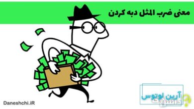 ضرب المثل دبه کردن