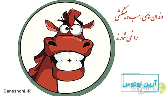 دندان اسب پیشکشی را نمی شمارند