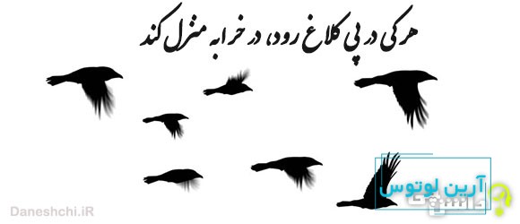 معنی ضرب المثل هر کی در پی کلاغ رود در خرابه منزل کند