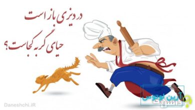 در دیزی باز است حیای گربه کجاست