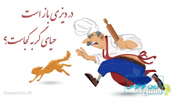 در دیزی باز است حیای گربه کجاست