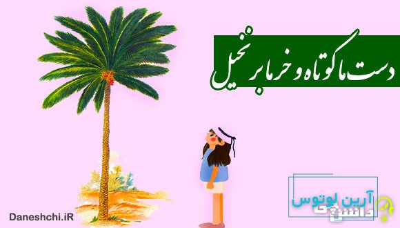 معنی دست ما کوتاه و خرما بر نخیل