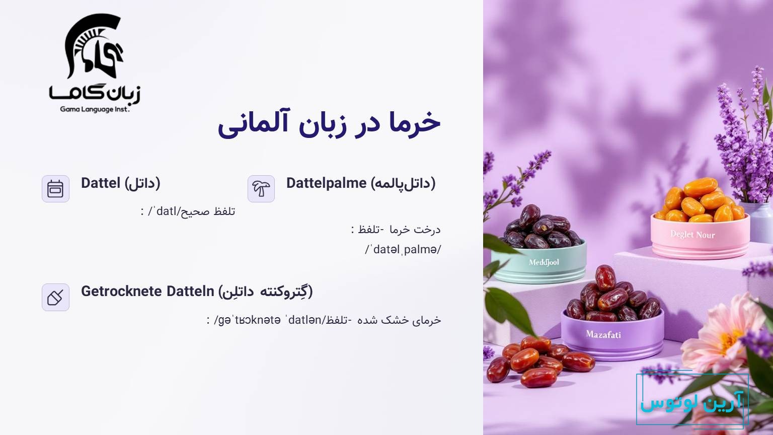 خرما در زبان آلمانی