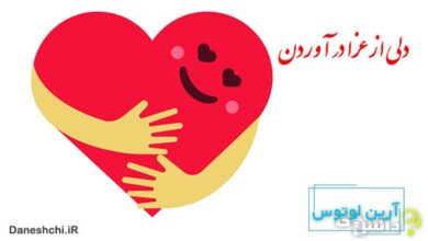 دلی از عزا درآوردن